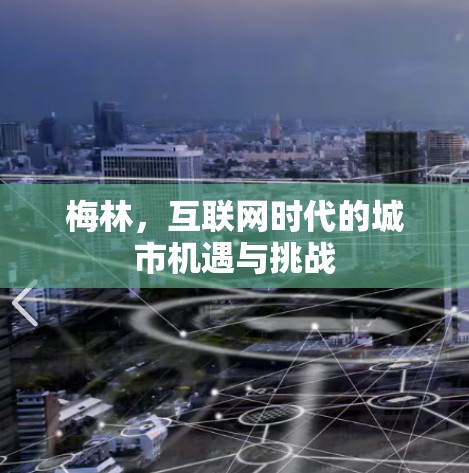 梅林，互联网时代的城市机遇与挑战