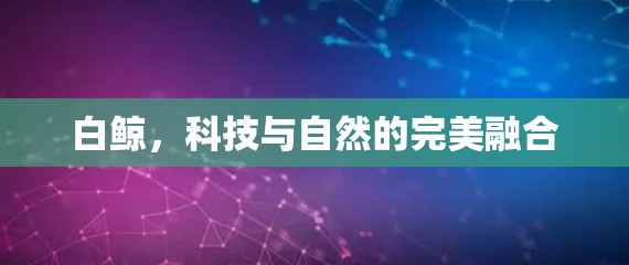 白鲸，科技与自然的完美融合