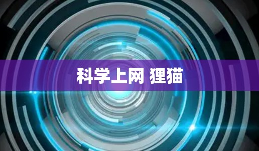 科学上网 狸猫