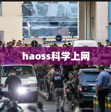 haoss科学上网