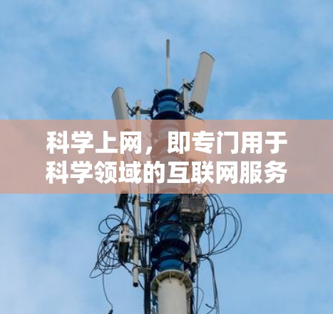 科学上网，即专门用于科学领域的互联网服务，具有多重意义，以下是对其进行全面的分析和总结