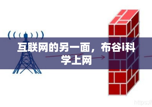互联网的另一面，布谷i科学上网
