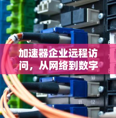 加速器企业远程访问，从网络到数字世界的未来