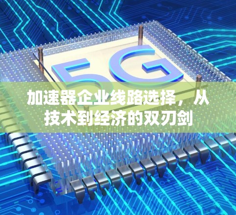 加速器企业线路选择，从技术到经济的双刃剑