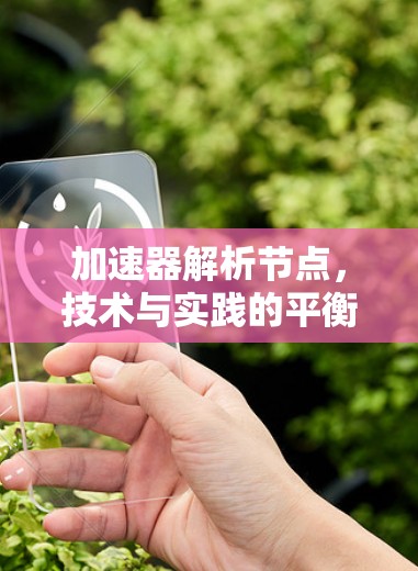 加速器解析节点，技术与实践的平衡