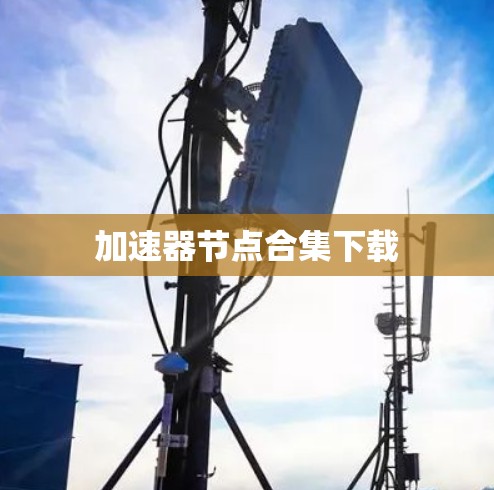 加速器节点合集下载