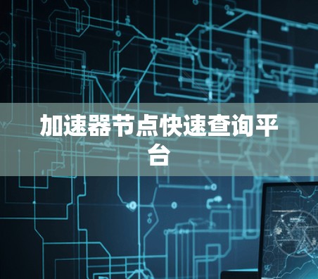 加速器节点快速查询平台
