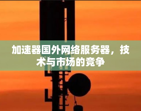 加速器国外网络服务器，技术与市场的竞争