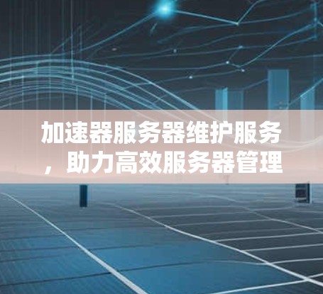 加速器服务器维护服务，助力高效服务器管理的未来解决方案