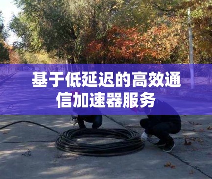 基于低延迟的高效通信加速器服务 基于低延迟的高效通信加速器服务