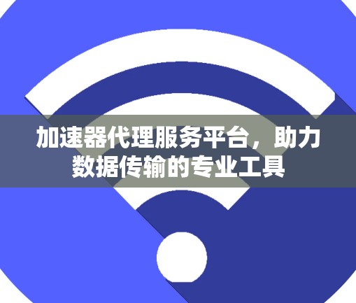 加速器代理服务平台，助力数据传输的专业工具