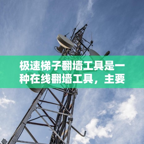 极速梯子翻墙工具是一种在线翻墙工具，主要用于将网页内容从网页中快速复制到服务器上。以下是使用该工具的详细步骤