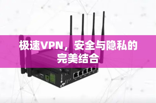 极速VPN，安全与隐私的完美结合