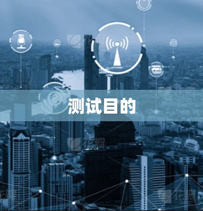 测试目的