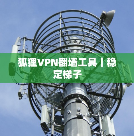 狐狸VPN翻墙工具｜稳定梯子