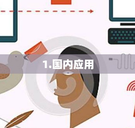 1.国内应用