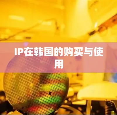 IP在韩国的购买与使用