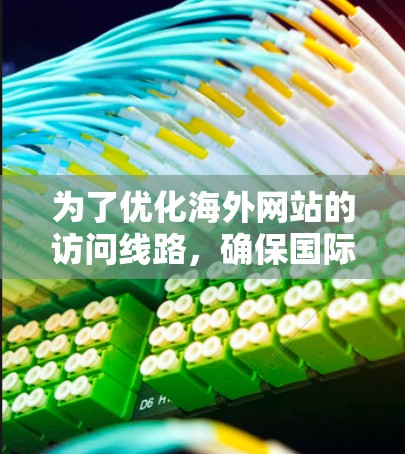为了优化海外网站的访问线路，确保国际用户高效访问，可以按照以下步骤进行优化