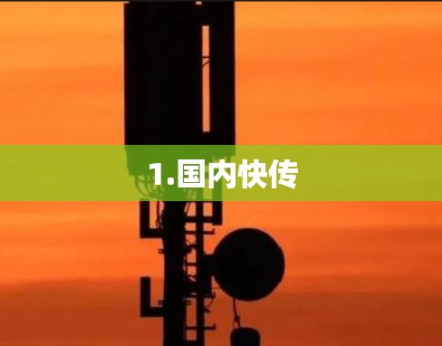 1.国内快传