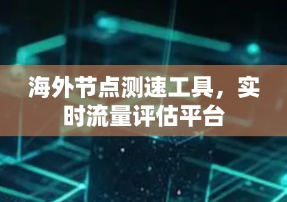 海外节点测速工具，实时流量评估平台