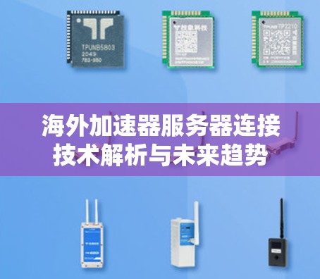 海外加速器服务器连接技术解析与未来趋势