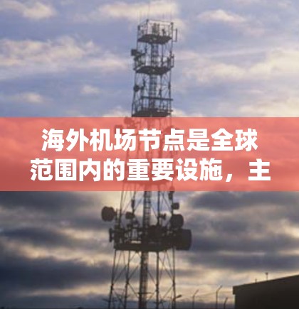 海外机场节点是全球范围内的重要设施，主要服务于跨国旅行和国际物流，具有多种功能和挑战。以下是对海外机场节点的详细分析