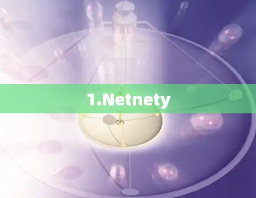 1.Netnety