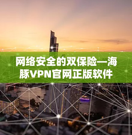 网络安全的双保险—海豚VPN官网正版软件