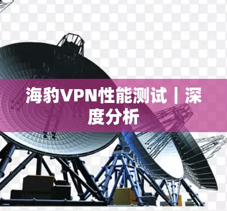 海豹VPN性能测试｜深度分析