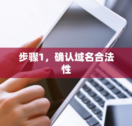 步骤1，确认域名合法性