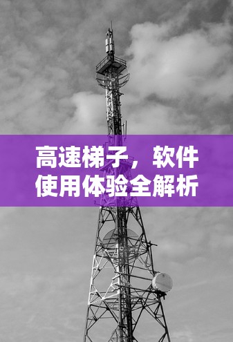 高速梯子，软件使用体验全解析