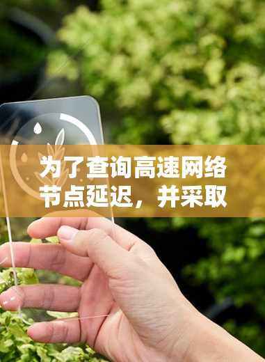 为了查询高速网络节点延迟，并采取有效措施优化网络性能，可以按照以下步骤操作