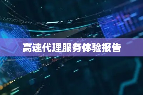高速代理服务体验报告