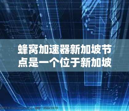 蜂窝加速器新加坡节点是一个位于新加坡的加速工具，旨在优化数据处理、云服务和软件加速。以下是对该加速器的系统性分析
