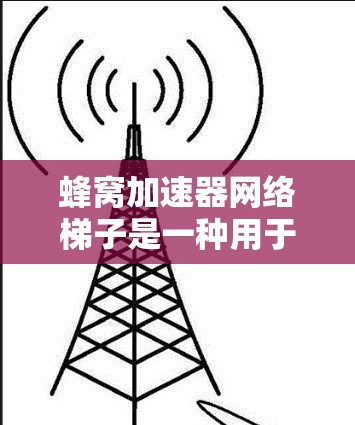 蜂窝加速器网络梯子是一种用于连接蜂窝节点到主网络设备的物理结构，通过物理连接和射频链路传输实现蜂窝网络的管理。以下是其详细结构和功能