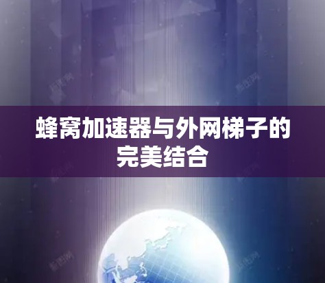 蜂窝加速器与外网梯子的完美结合