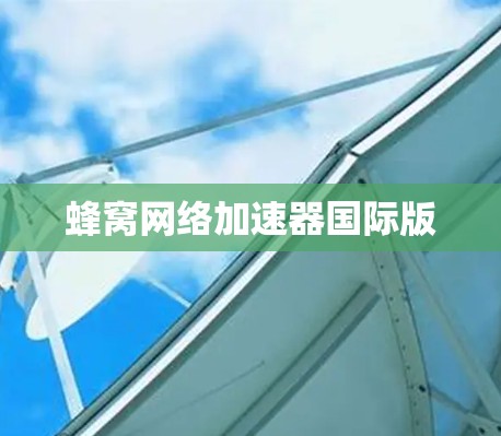 蜂窝网络加速器国际版