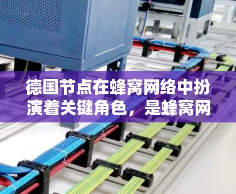 德国节点在蜂窝网络中扮演着关键角色，是蜂窝网络基础设施的重要组成部分。以下是对德国节点工作的详细阐述
