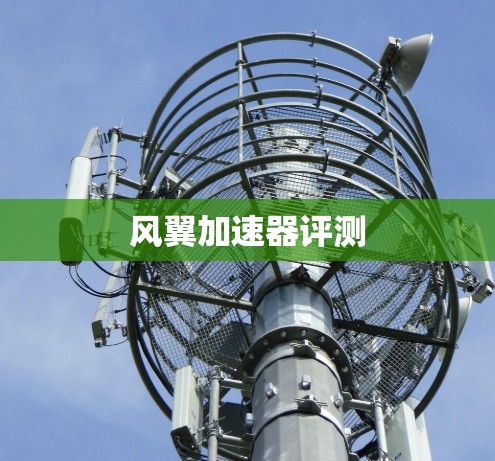 风翼加速器评测