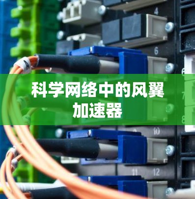 科学网络中的风翼加速器