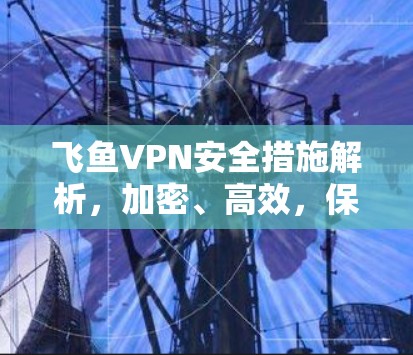 飞鱼VPN安全措施解析，加密、高效，保障你的网络信任感