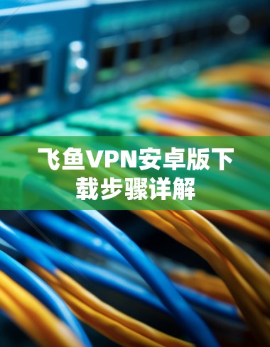 飞鱼VPN安卓版下载步骤详解