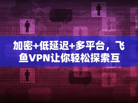 加密+低延迟+多平台，飞鱼VPN让你轻松探索互联网的无限可能！