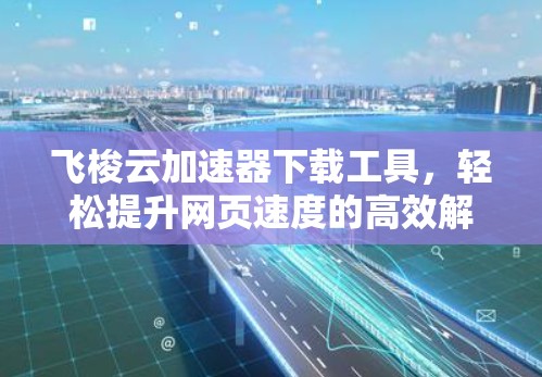 飞梭云加速器下载工具，轻松提升网页速度的高效解决方案