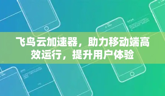 飞鸟云加速器，助力移动端高效运行，提升用户体验