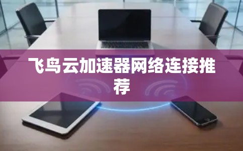飞鸟云加速器网络连接推荐