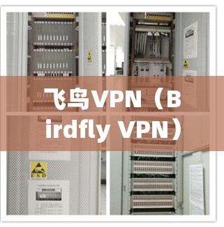 飞鸟VPN（Birdfly VPN）是基于VPN协议的快速连接工具，提供了多种速率选项，包括18p、144p、216p和4k。以下是关于飞鸟VPN速度的评估和一些常见问题的解答