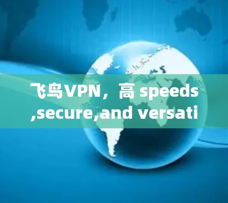 飞鸟VPN，高 speeds,secure,and versatile