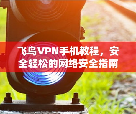 飞鸟VPN手机教程，安全轻松的网络安全指南