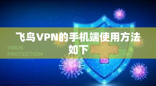 飞鸟VPN的手机端使用方法如下
